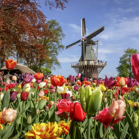 KEUKENHOF